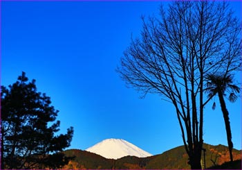 山の端に富士山