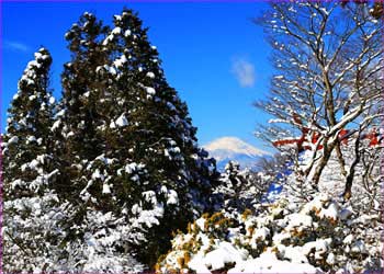 雪明けの大山山頂にて富士山