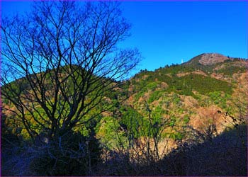 湯河原路の山