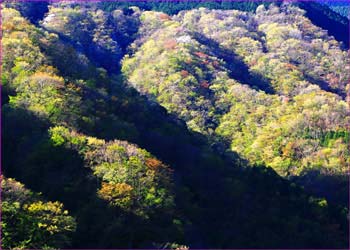 新緑映える山肌