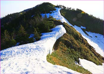 残雪たっぷりの尾根