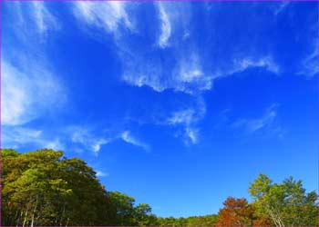 黄昏に巻雲が