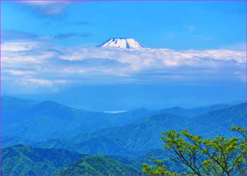 富士山のぞく