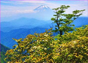 富士山望む