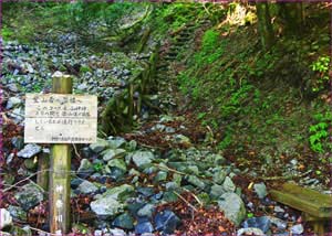 廃道の山人峠への道