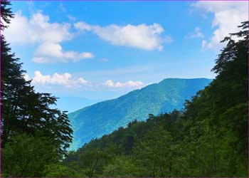 ドンドコ沢から東空