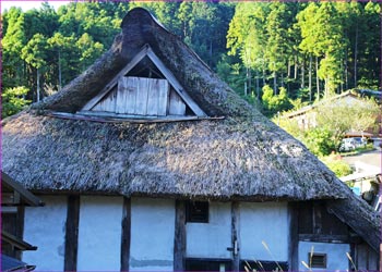 高杉茅葺き