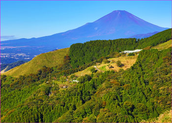 o大野山富士