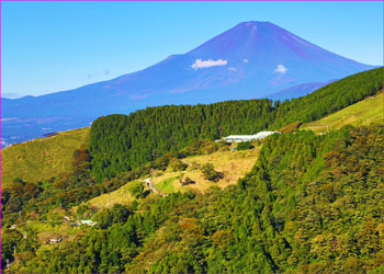 初秋の大野山富士