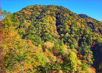 飛龍山秋模様