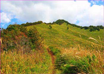 高座山めざして