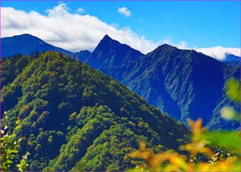 大源太山望む