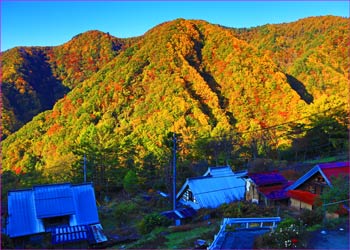 日川渓谷秋模様