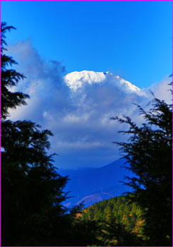 富士山のぞく