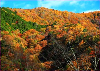 松姫峠への秋山