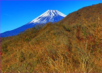 愛鷹富士