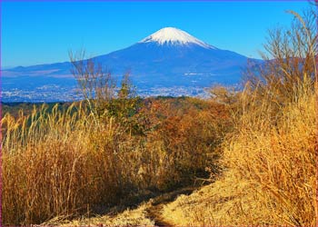 富士山