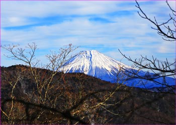 富士山望む