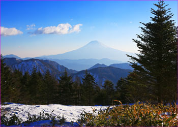 富士山望む