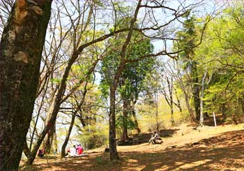 山頂広場