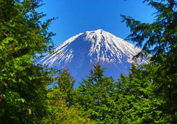 富士山