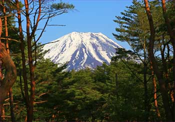 富士山