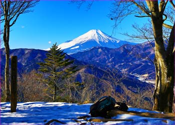 鳥ノ胸山山頂