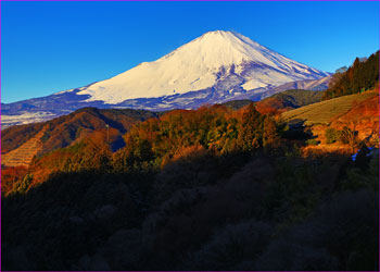 野背開戸富士