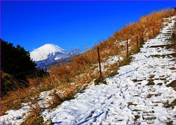 牧場へ