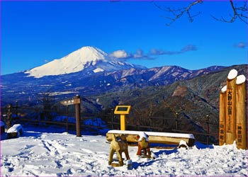 大野山山頂