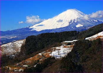 大野山富士展望