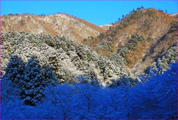 雪明けの後ろ沢乗越へ