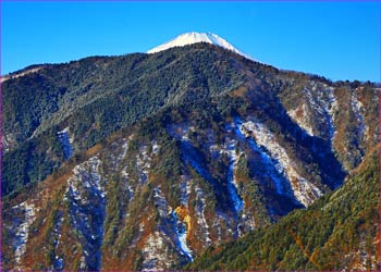 富士山のぞく