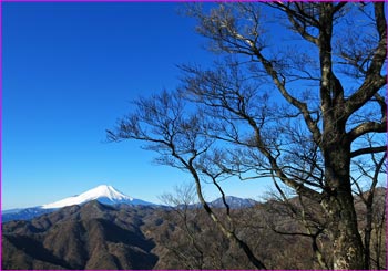 富士展望