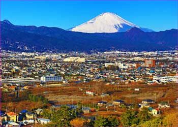 曽我丘陵の富士