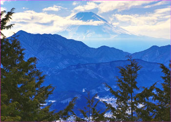 富士山見ゆ