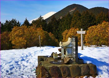 シダンゴ山頂