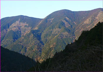 朝の山波