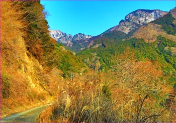 真富士山を振り返る