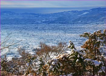 秦野盆地雪景色