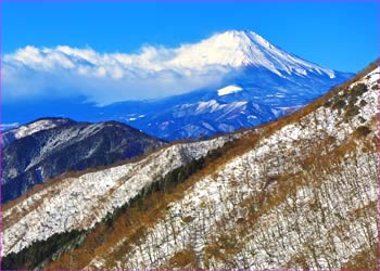 大倉尾根から富士