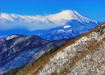 尾根から富士