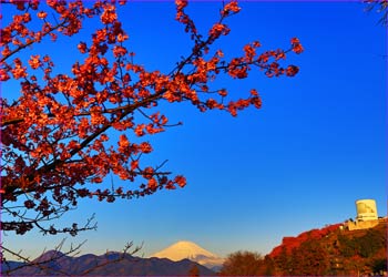 富士山