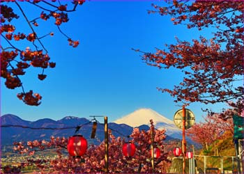 松田山富士