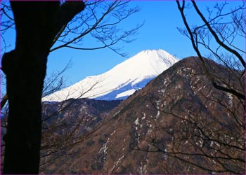 富士山