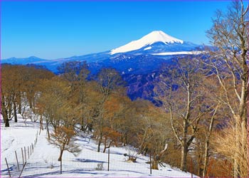 富士山