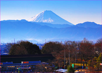 双葉から富士山