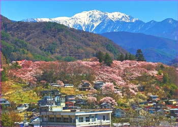 城址公園に仙丈岳