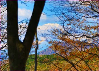 富士山のぞく