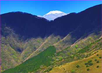 富士山のぞく